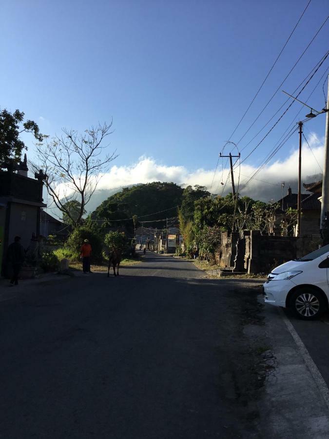 The Villa'S Kubu Sandan Kintamani  Exterior photo